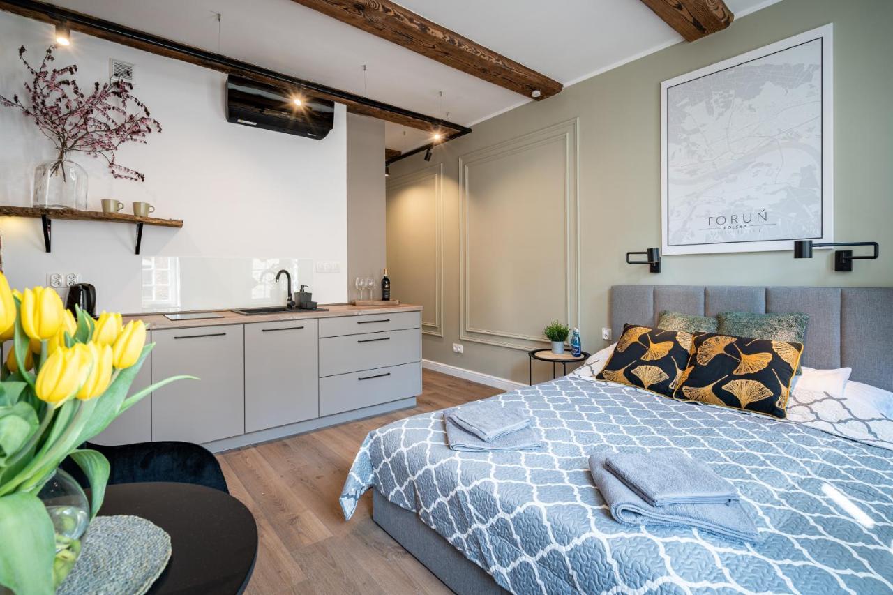 Apartamenty Stare Cegly Торунь Экстерьер фото